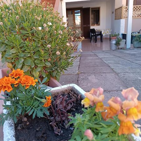 Da Francesca Villa Palmadula Exterior foto