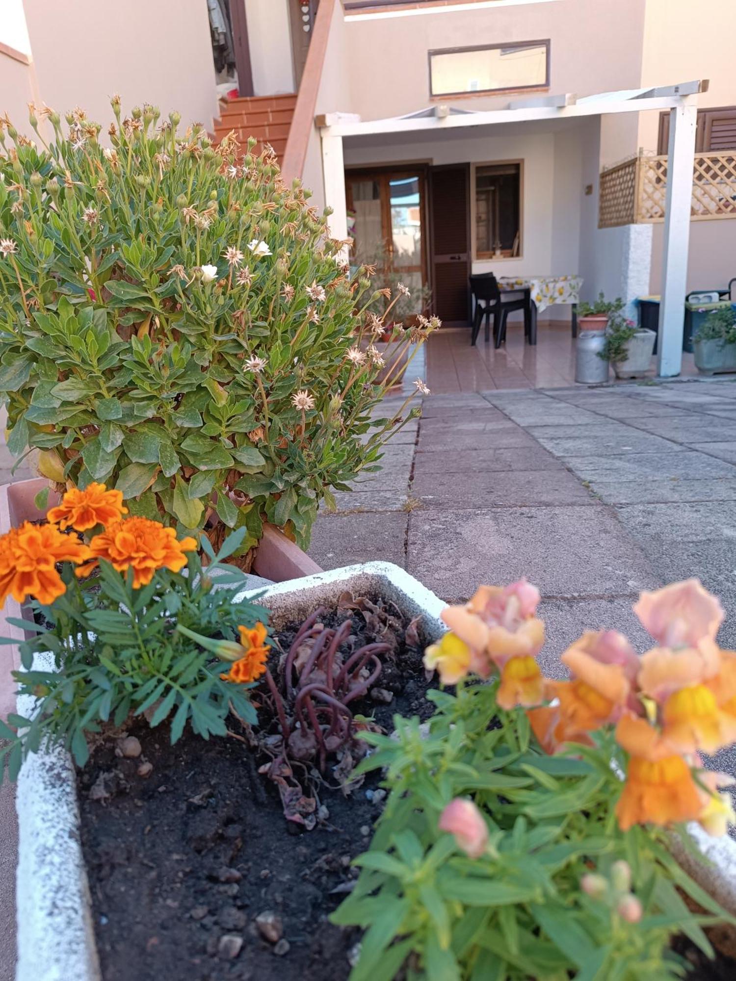 Da Francesca Villa Palmadula Exterior foto
